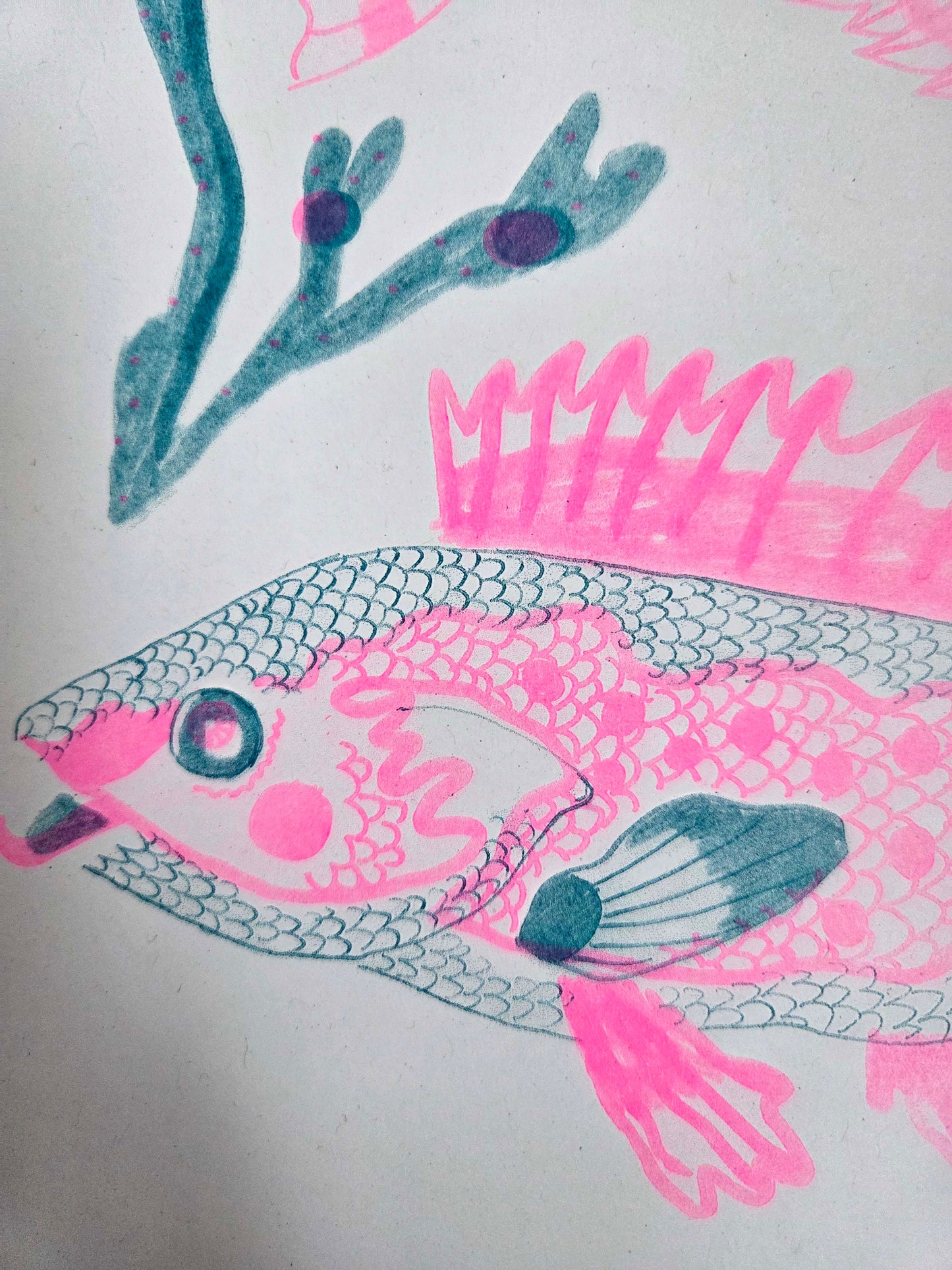 Fish Riso Print